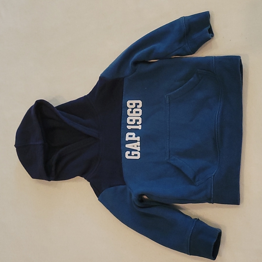 Baby Gap Pullover Hoodie